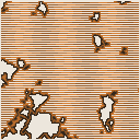 地図 1302