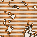 地図 1528