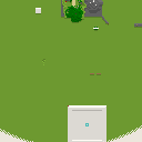 地図 1555