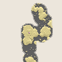 地図 1726