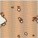 地図 1728