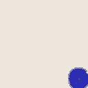 地図 19161