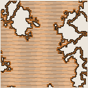 地図 5001