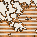 地図 5574