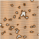 地図 56