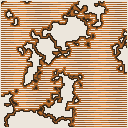 地図 819